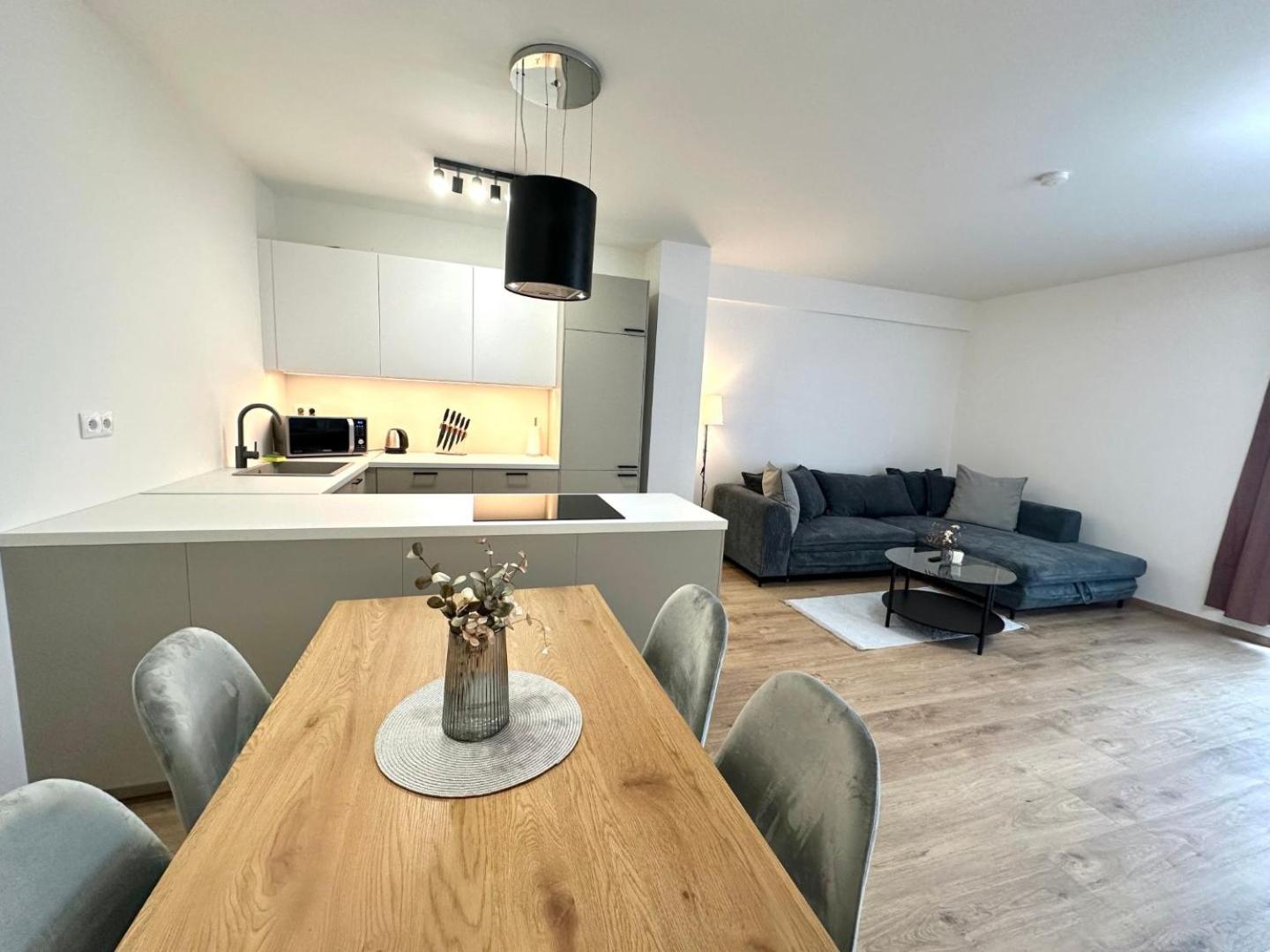 2 Room Apartment, New Building, Balcony, 208 Rovinka エクステリア 写真